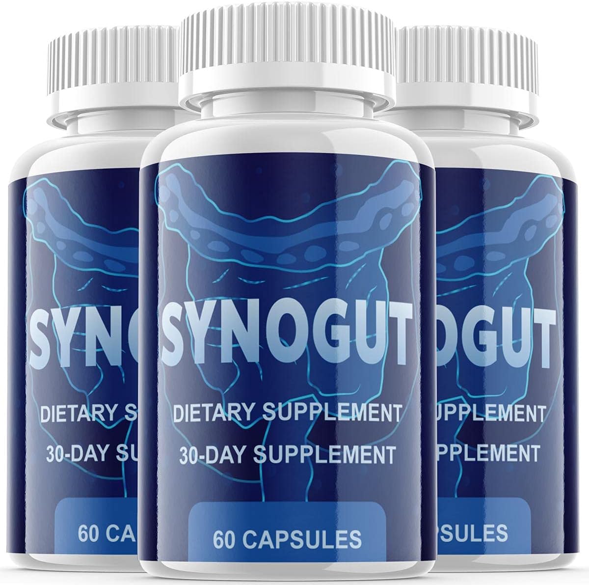 71wm55ray2l. ac sl1200